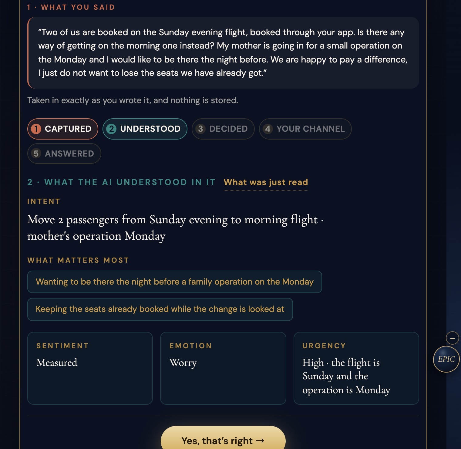 The Any Sector model reading an airline customer's message: intent, what matters most, sentiment, emotion and urgency